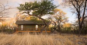 Raised wood-and-canvas tent at Mushara Outpost