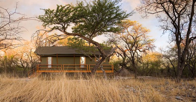 Raised wood-and-canvas tent at Mushara Outpost