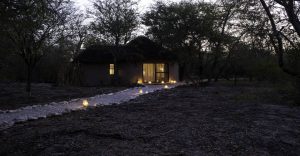 Etosha safari lodge – Honeymoon Bungalow in woodland