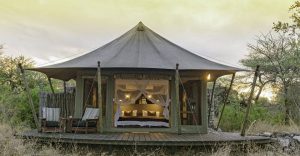 Onguma luxury tents – canvas tent on a private wooden deck