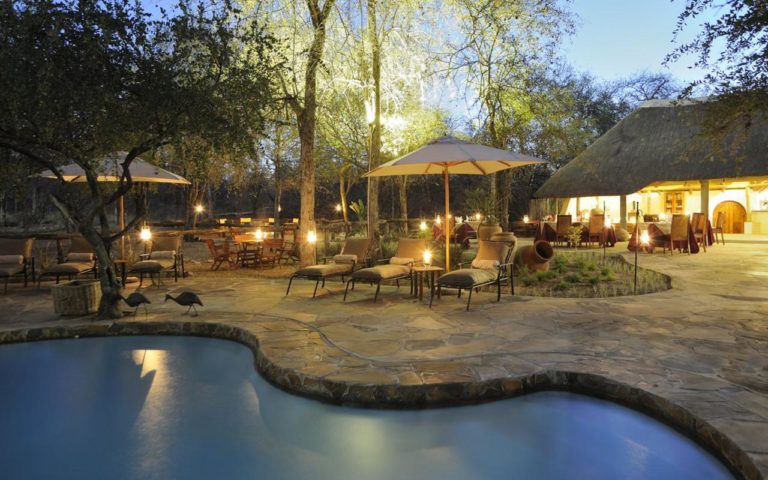 Onguma Forest Camp – swimming pool and thatched lounge at dusk