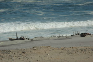 Skeleton Coast accommodation – seals resting beside Atlantic waves