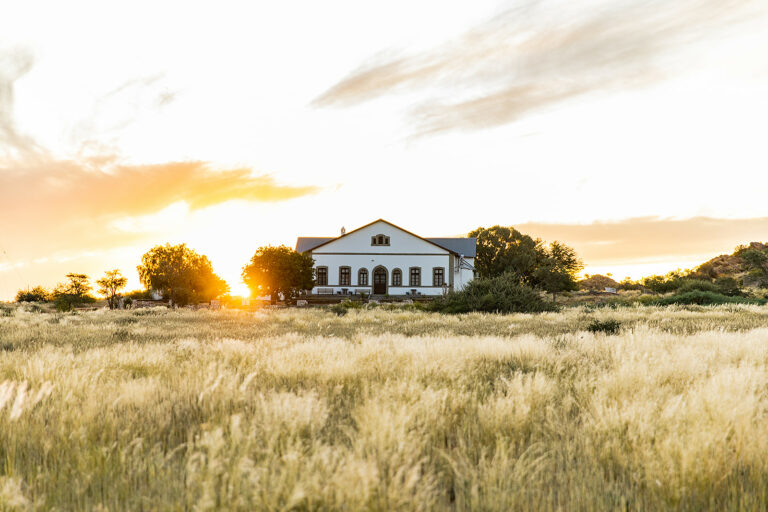Die Withuis Guest Farm – historic white farmhouse at sunset in golden grass