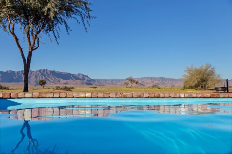 self-catering accommodation near Sossusvlei – pool and camel-thorn trees under blue sky