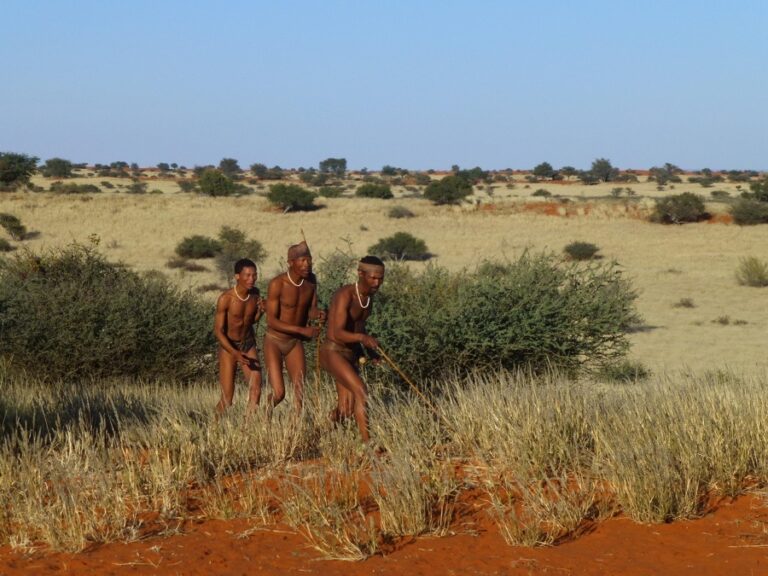 Kalahari lodge near Mariental – guided cultural walk in the Kalahari