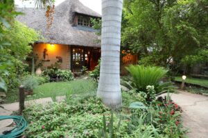 Okavango River lodge – garden path to the main thatched building