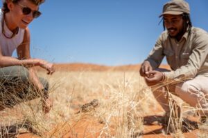 NamibRand desert lodge – guided desert ecology walk