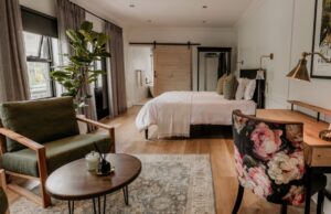 The Fritz Collection – sunlit lounge