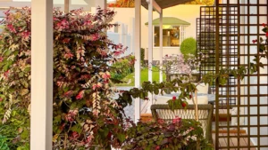 Brigadoon Boutique Guesthouse accommodation gallery image 9