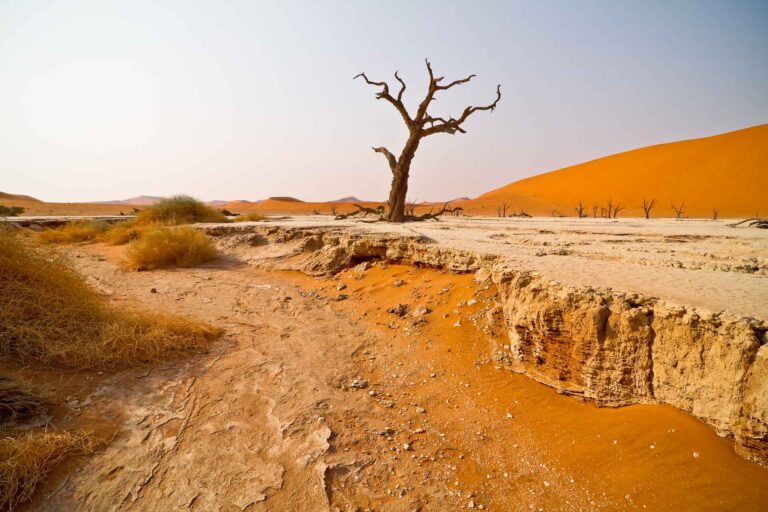 Desert Homestead Lodge – dry river and red dune