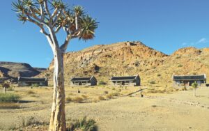 Canyon Village buildings and quiver tree in the rocky landscape