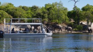 Boat cruise from Chobe River Camp passing elephants at the riverbank