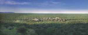Aerial view across the gardens surrounding Damara Mopane Lodge