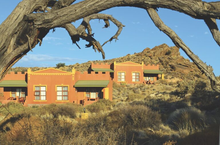Desert Horse Inn exterior framed by a tree