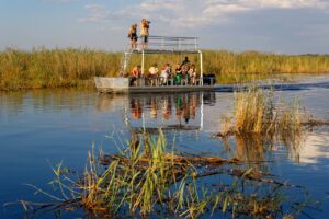 Guests exploring the Kwando waterways by boat