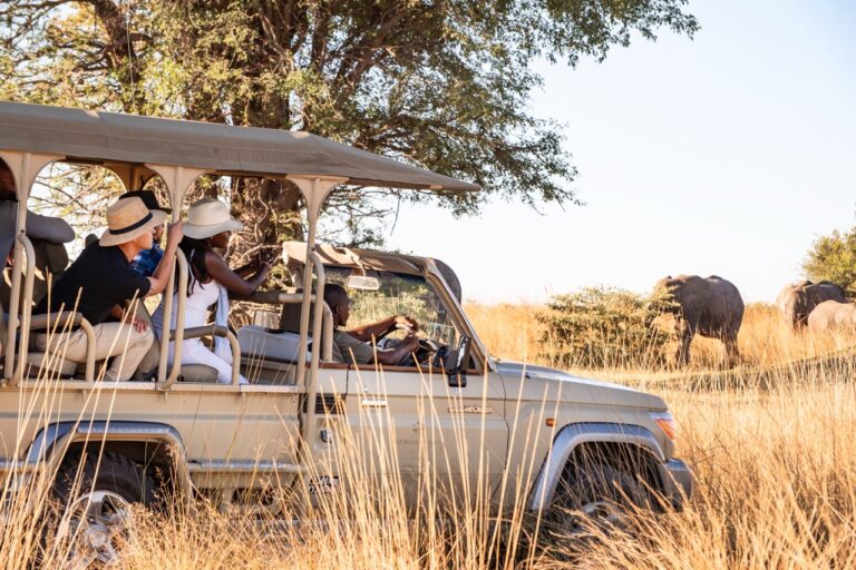 Guests watching elephants on a guided Bwabwata drive