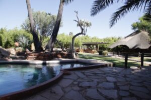 Stone-edged pool and shaded loungers at Palmwag Lodge