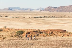 Guests walking across the Namib near The Desert Grace