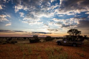 Nature drive across the Kalahari Anib Lodge reserve