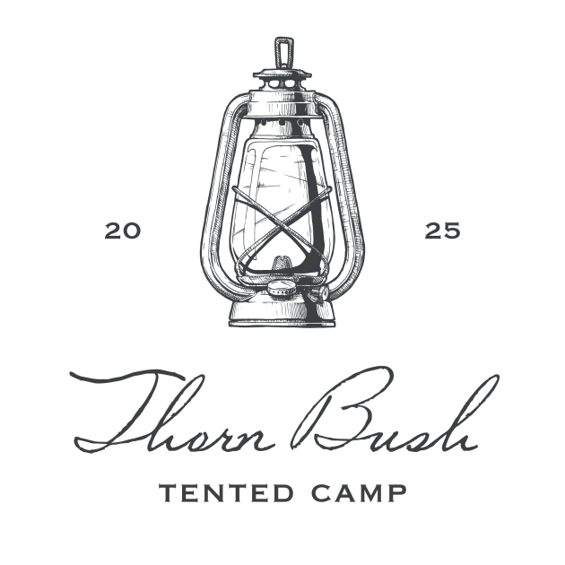 Thorn Bush Tented Camp at Otjiwa Collection - image 1